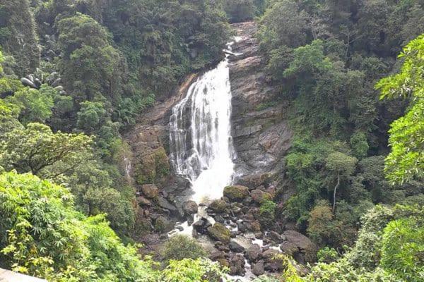 Mscb Guest House Idukki Ngoại thất bức ảnh