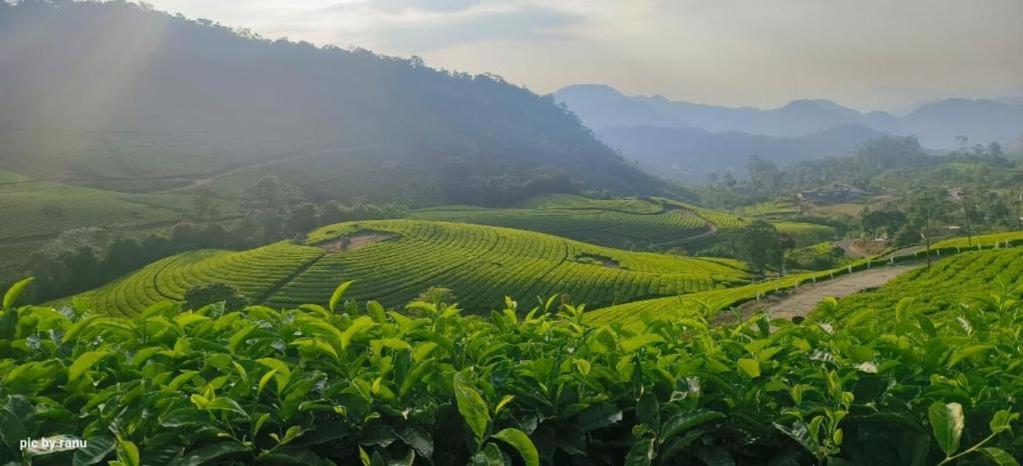 Mscb Guest House Idukki Ngoại thất bức ảnh