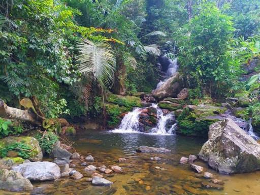 Mscb Guest House Idukki Ngoại thất bức ảnh